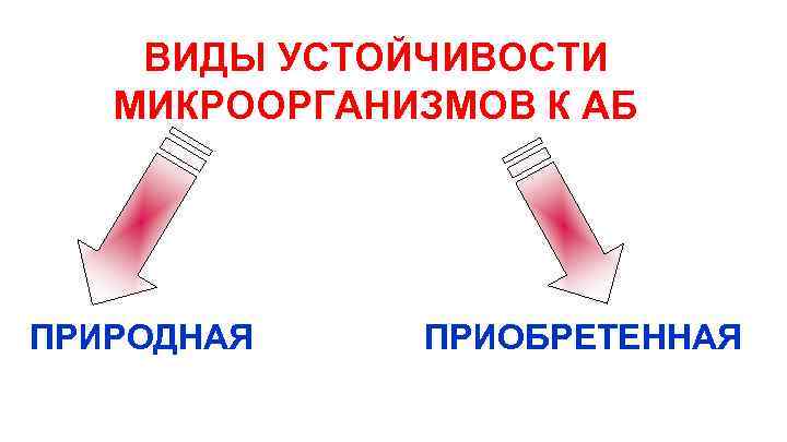 ВИДЫ УСТОЙЧИВОСТИ МИКРООРГАНИЗМОВ К АБ ПРИРОДНАЯ ПРИОБРЕТЕННАЯ 