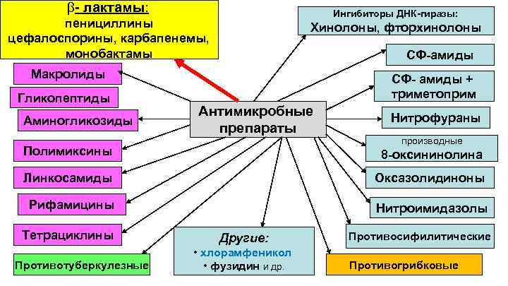 b- лактамы: Ингибиторы ДНК-гиразы: пенициллины цефалоспорины, карбапенемы, монобактамы Хинолоны, фторхинолоны СФ-амиды Макролиды Гликопептиды Аминогликозиды