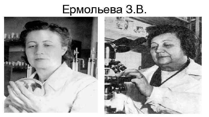 Ермольева З. В. 