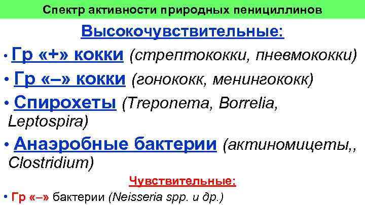 Спектр активности природных пенициллинов Высокочувствительные: • Гр «+» кокки (стрептококки, пневмококки) • Гр «–»