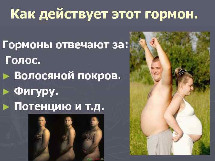 Как действует этот гормон. Гормоны отвечают за: Голос. ► Волосяной покров. ► Фигуру. ►