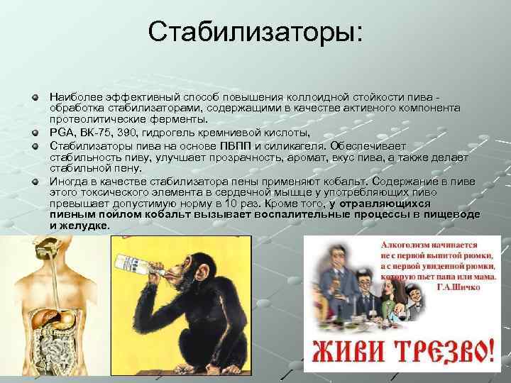 Стабилизаторы: Наиболее эффективный способ повышения коллоидной стойкости пива обработка стабилизаторами, содержащими в качестве активного