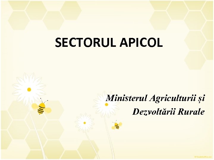 SECTORUL APICOL Ministerul Agriculturii și Dezvoltării Rurale 