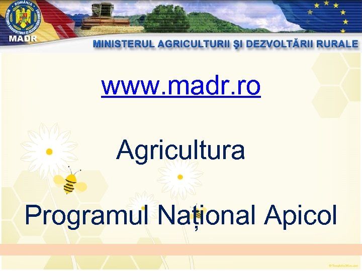 www. madr. ro Agricultura Programul Național Apicol 