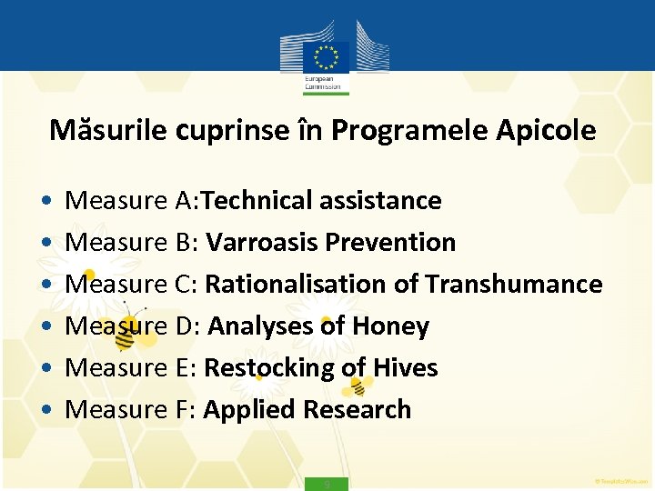 Măsurile cuprinse în Programele Apicole • • • Measure A: Technical assistance Measure B: