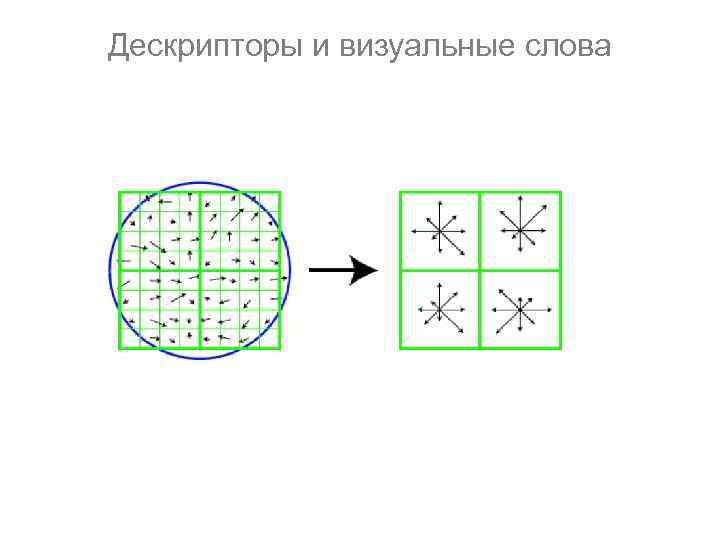 Дескрипторы и визуальные слова 