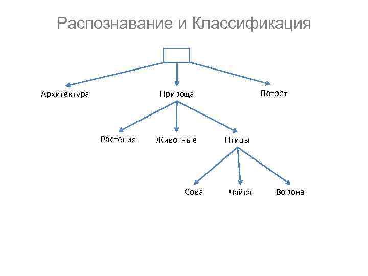 Распознавание и Классификация Архитектура Потрет Природа Растения Животные Сова Птицы Чайка Ворона 