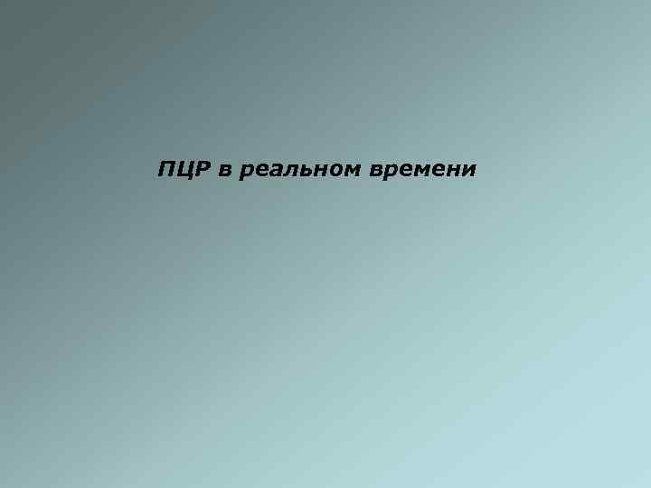 ПЦР в реальном времени 