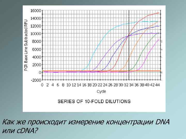 Как же происходит измерение концентрации DNA или c. DNA? 