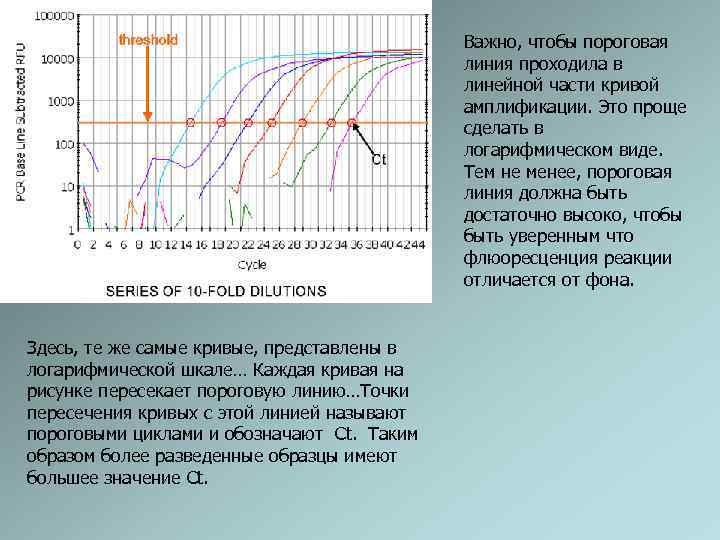 Важно, чтобы пороговая линия проходила в линейной части кривой амплификации. Это проще сделать в