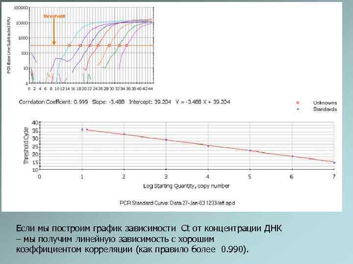 Если мы построим график зависимости Ct от концентрации ДНК – мы получим линейную зависимость