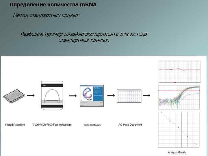 Определение количества m. RNA Метод стандартных кривых Разберем пример дизайна эксперимента для метода стандартных
