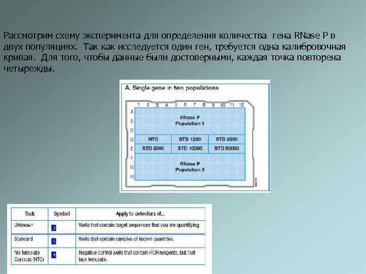 Рассмотрим схему эксперимента для определения количества гена RNase P в двух популяциях. Так как