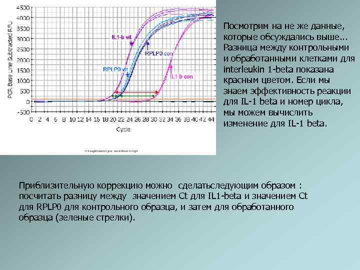 Пцр в реальном времени схема