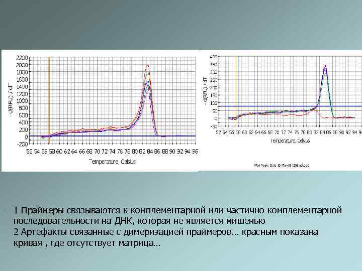  1 Праймеры связываются к комплементарной или частично комплементарной последовательности на ДНК, которая не