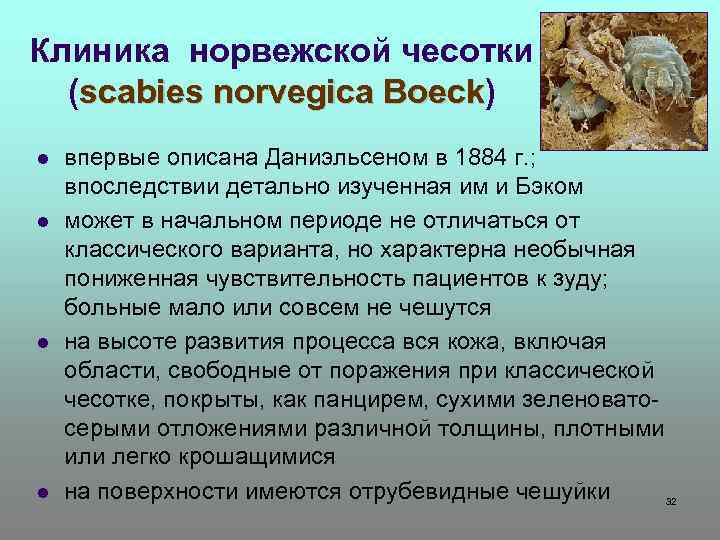 Клиника норвежской чесотки (scabies norvegica Boeck) Boeck l l впервые описана Даниэльсеном в 1884