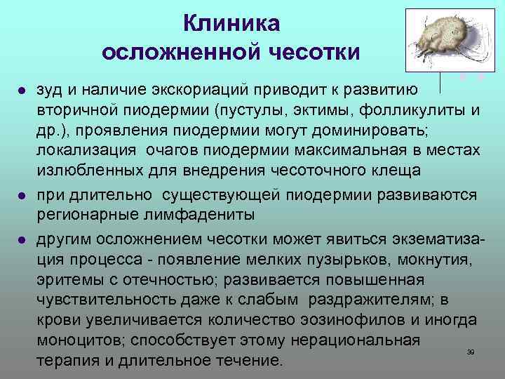 Клиника осложненной чесотки l l l зуд и наличие экскориаций приводит к развитию вторичной