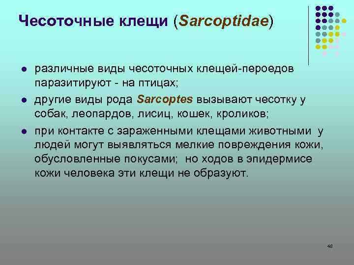 Чесоточные клещи (Sarcoptidae) l l l различные виды чесоточных клещей-пероедов паразитируют - на птицах;