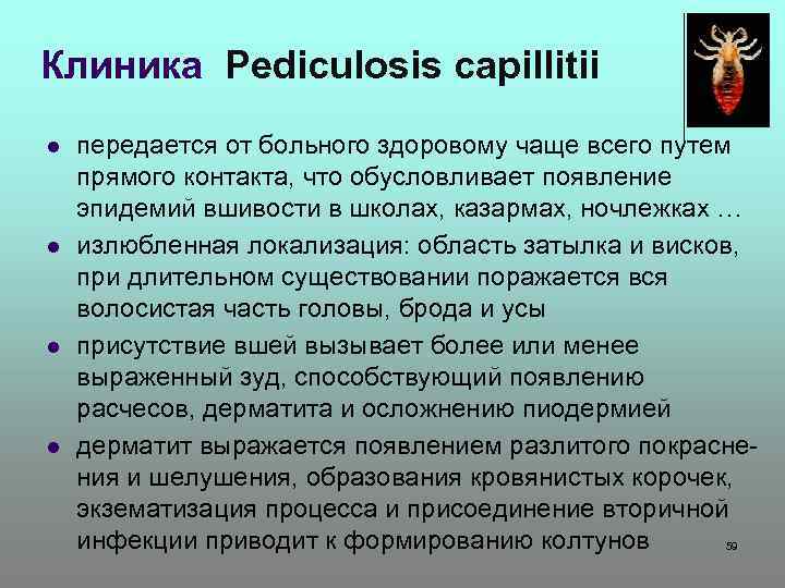 Клиника Pediculosis capillitii l l передается от больного здоровому чаще всего путем прямого контакта,