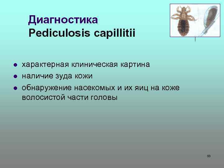 Диагностика Pediculosis capillitii l l l характерная клиническая картина наличие зуда кожи обнаружение насекомых