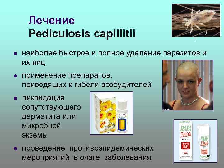 Лечение Pediculosis capillitii l наиболее быстрое и полное удаление паразитов и их яиц l