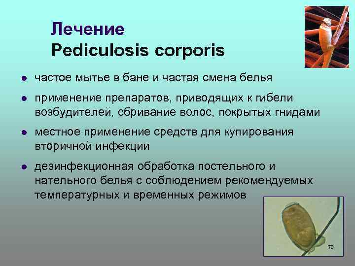 Лечение Pediculosis corporis l частое мытье в бане и частая смена белья l применение