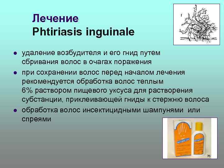 Лечение Phtiriasis inguinale l l l удаление возбудителя и его гнид путем сбривания волос