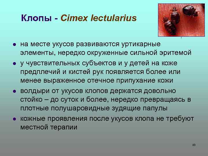 Клопы - Cimex lectularius l l на месте укусов развиваются уртикарные элементы, нередко окруженные