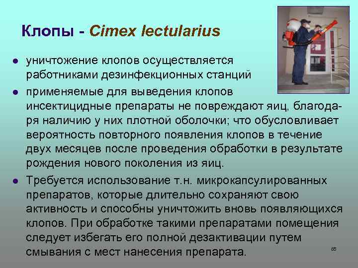 Клопы - Cimex lectularius l l l уничтожение клопов осуществляется работниками дезинфекционных станций применяемые