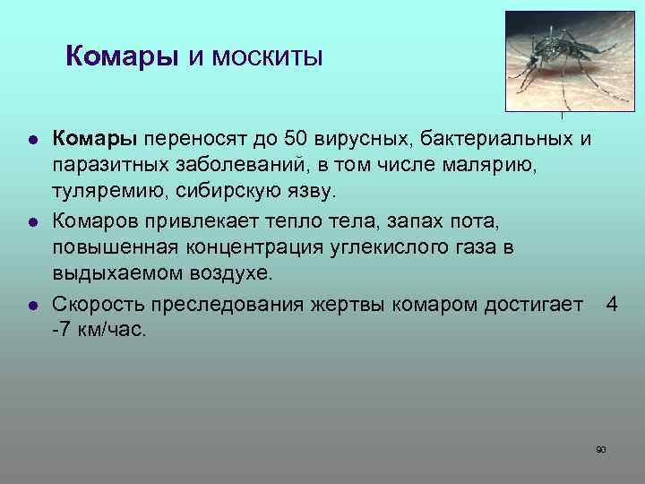 Комары и москиты l l l Комары переносят до 50 вирусных, бактериальных и паразитных