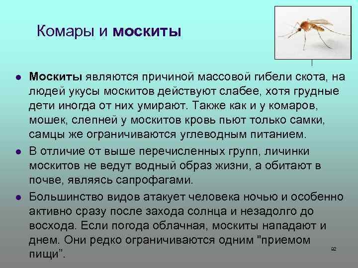 Комары и москиты l l l Москиты являются причиной массовой гибели скота, на людей