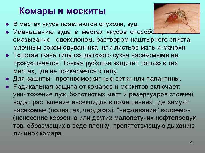 Комары и москиты l l l В местах укуса появляются опухоли, зуд, воспаление. Уменьшению