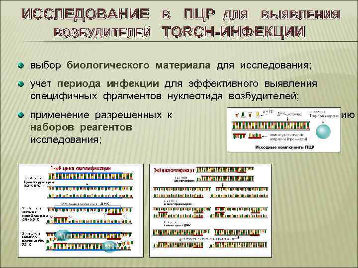 ИССЛЕДОВАНИЕ ВОЗБУДИТЕЛЕЙ ПЦР ДЛЯ ВЫЯВЛЕНИЯ TORCH-ИНФЕКЦИИ В выбор биологического материала для исследования; учет периода