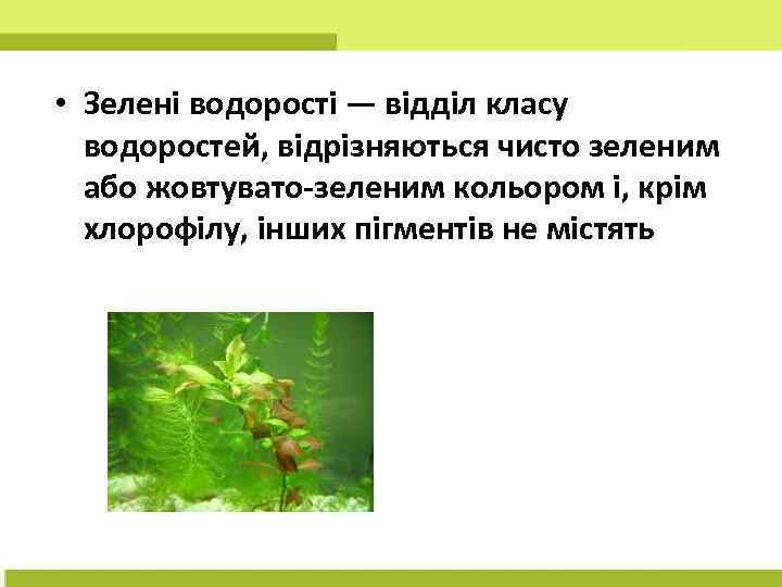  • Зелені водорості — відділ класу водоростей, відрізняються чисто зеленим або жовтувато-зеленим кольором