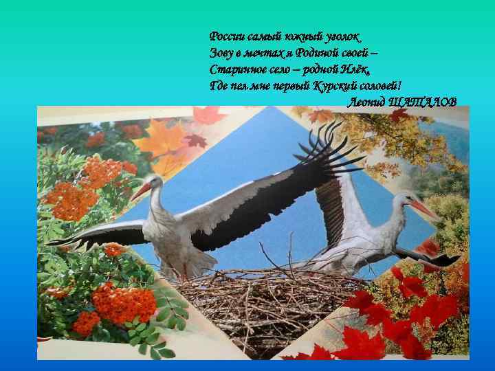 России самый южный уголок Зову в мечтах я Родиной своей – Старинное село –