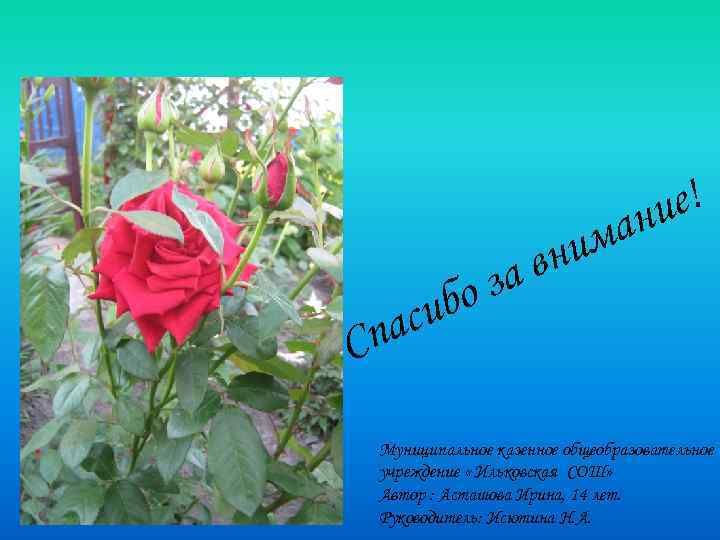 С иб ас п е! ни ав оз ма ни Муниципальное казенное общеобразовательное учреждение