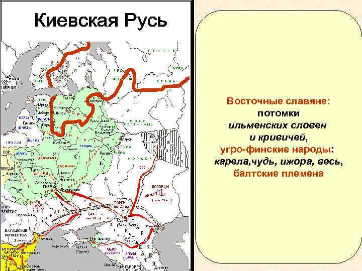 Восточные славяне: потомки ильменских словен и кривичей, угро-финские народы: карела, чудь, ижора, весь, балтские