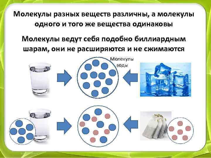 Молекулы разных веществ различны, а молекулы одного и того же вещества одинаковы Молекулы ведут