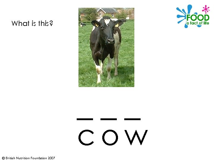 What is this? ___ cow © British Nutrition Foundation 2007 