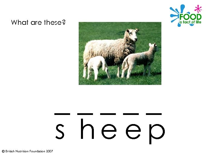 What are these? _____ s he ep © British Nutrition Foundation 2007 