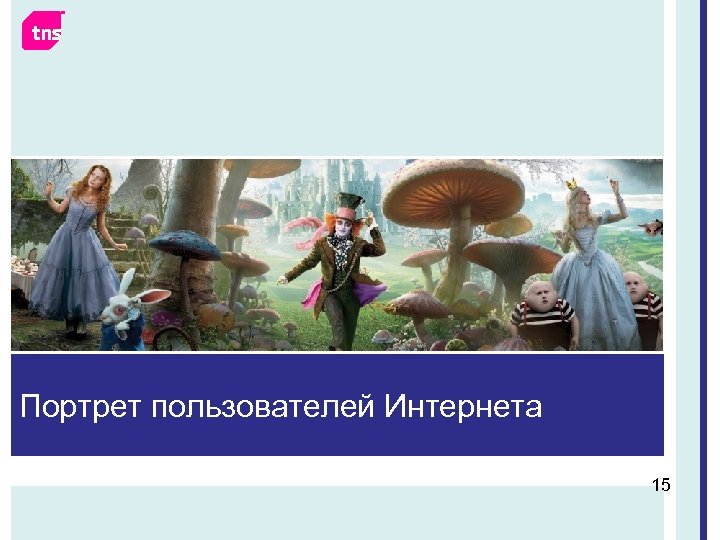Портрет пользователей Интернета 15 