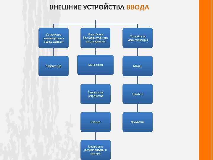 ВНЕШНИЕ УСТРОЙСТВА ВВОДА Устройства клавиатурного ввода данных Устройства бесклавиатурного ввода данных Устройства манипуляторы Клавиатура