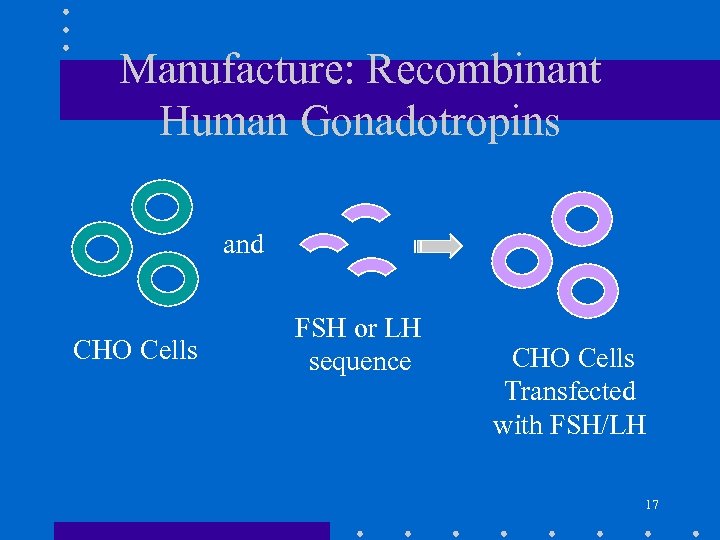 Manufacture: Recombinant Human Gonadotropins and CHO Cells FSH or LH sequence CHO Cells Transfected