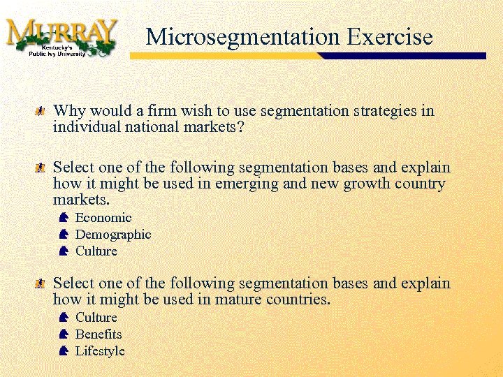 Microsegmentation Exercise Why would a firm wish to use segmentation strategies in individual national