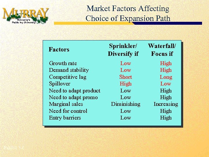 Market Factors Affecting Choice of Expansion Path Factors Growth rate Demand stability Competitive lag