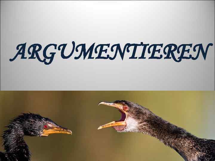 ARGUMENTIEREN 