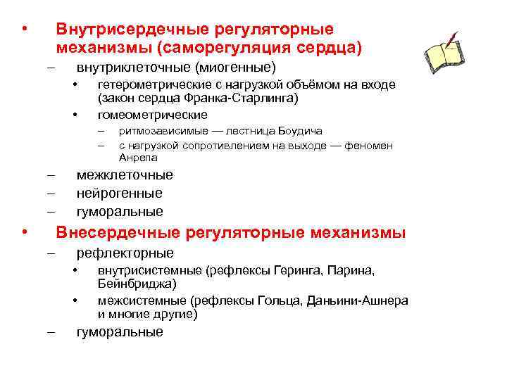  • Внутрисердечные регуляторные механизмы (саморегуляция сердца) – внутриклеточные (миогенные) • • гетерометрические с