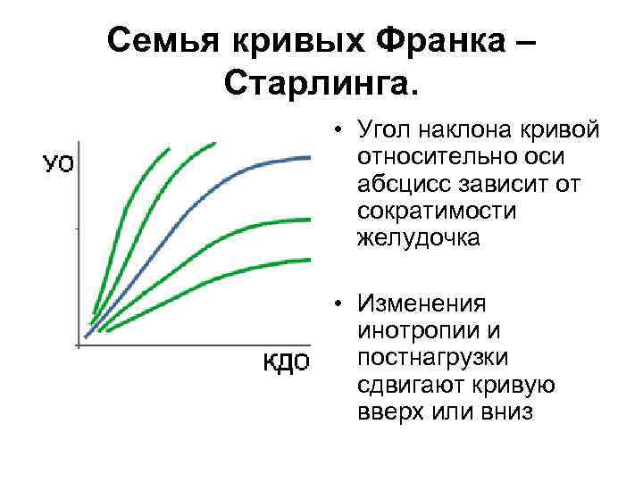 Семья кривых Франка – Старлинга. • Угол наклона кривой относительно оси абсцисс зависит от