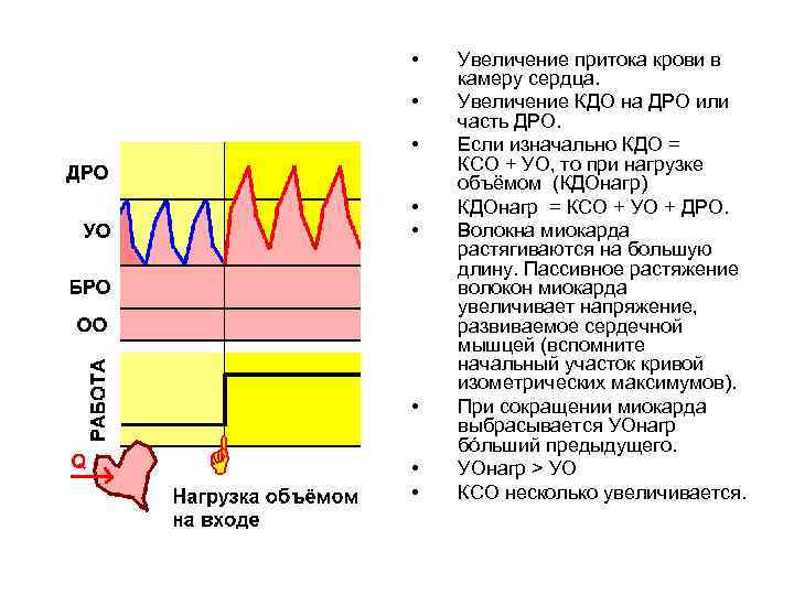  • • Увеличение притока крови в камеру сердца. Увеличение КДО на ДРО или