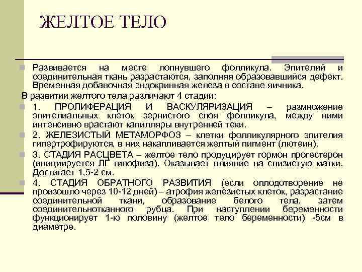 ЖЕЛТОЕ ТЕЛО n Развивается на месте лопнувшего фолликула. Эпителий и соединительная ткань разрастаются, заполняя